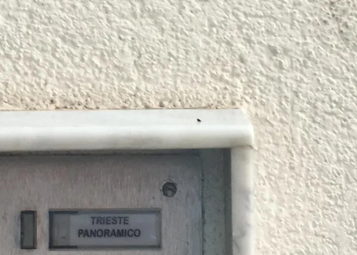 Panoramico Apartamento *