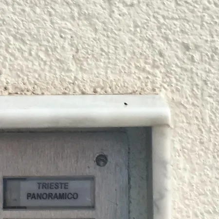 Panoramico