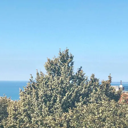 Panoramico *